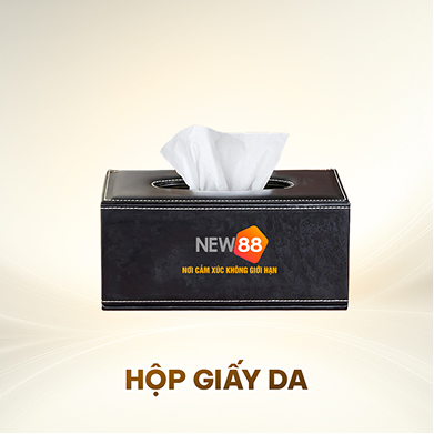 HỘP GIẤY DA
